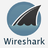 Sore_Shark