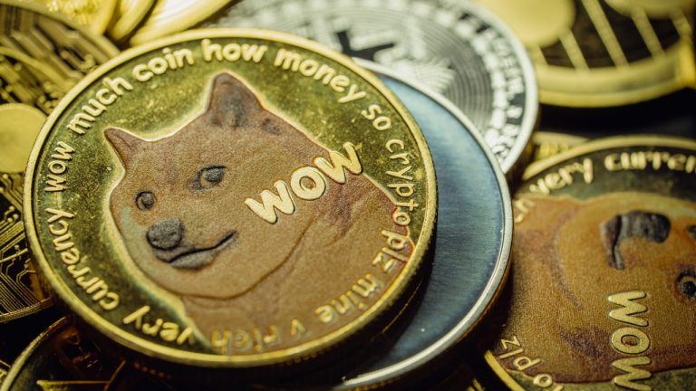 Elon Musk Clarifies No Plans for the Government to Use Dogecoin