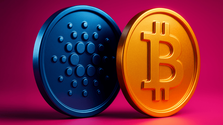 btccardo-768x432.png
